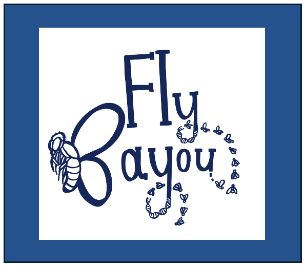 Fly Bayou Logo